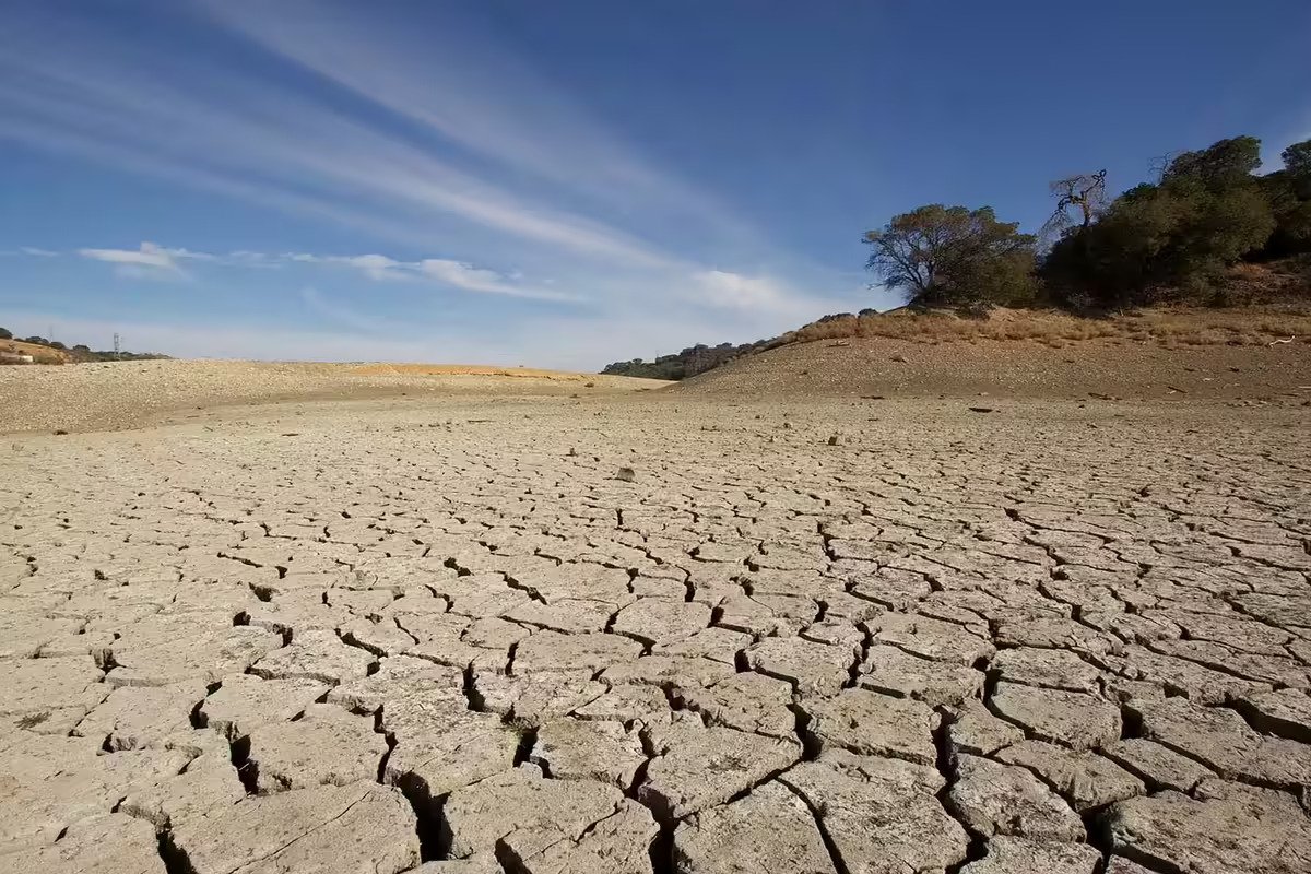 Scientists Identify Climate Change Impact in Summer 2023