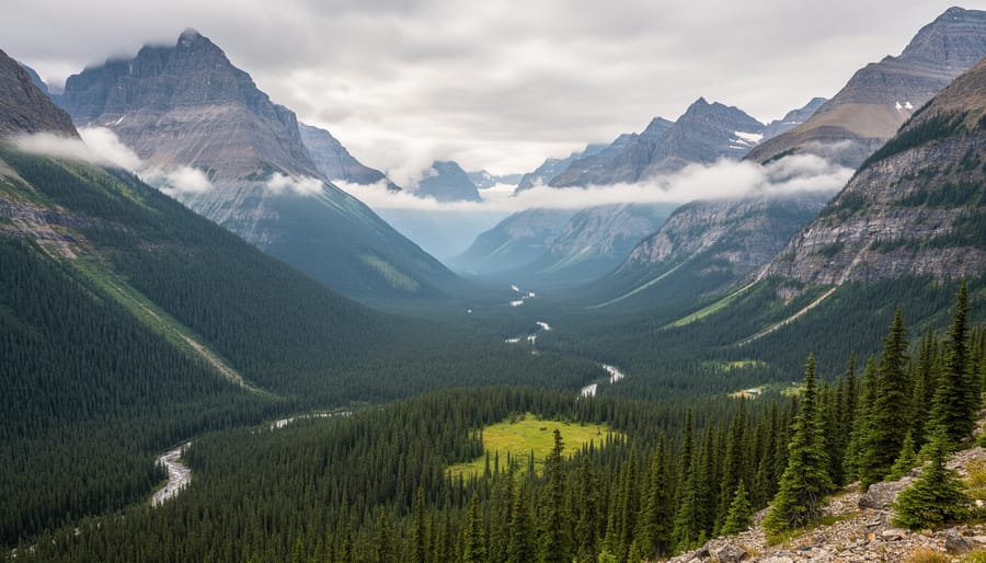 Forest trail in Glacier National Park near Rogers Pass with misty mountain backdrop